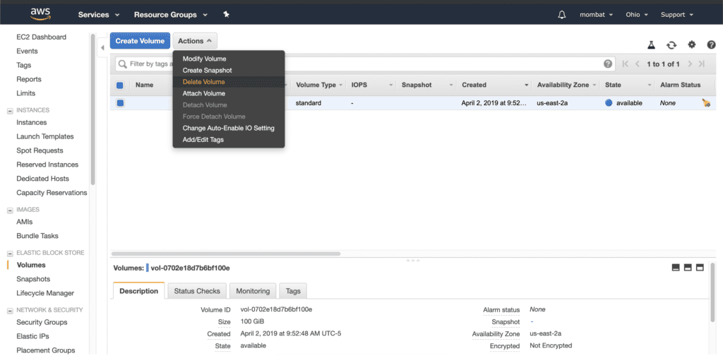 Delete AWS volumes to stop paying for them
