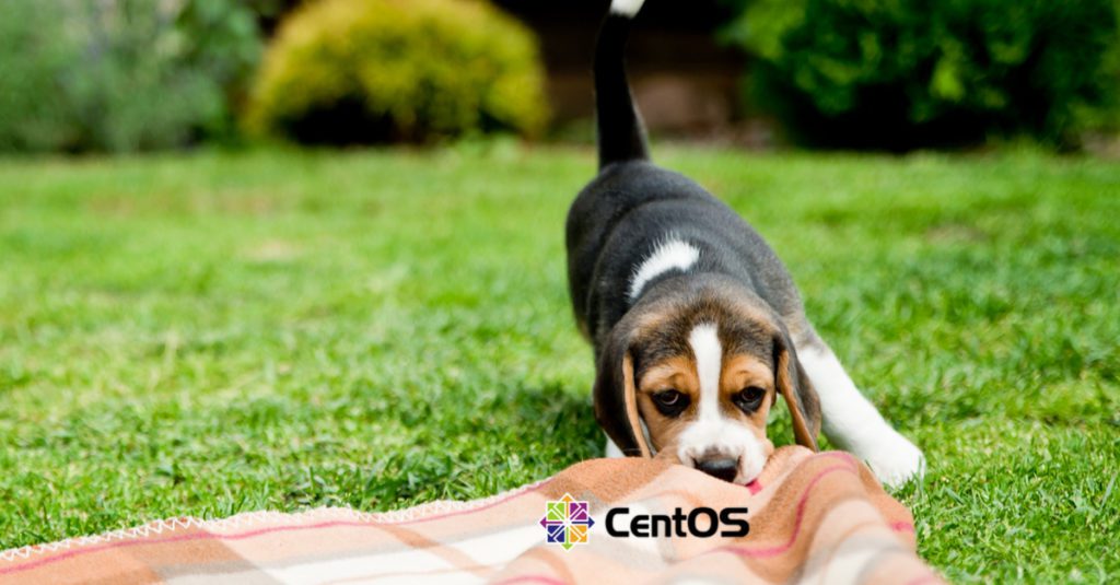 puppy pulling a rug with the CentOS logo on it to signify CentOS being pulled from the tech community too soon