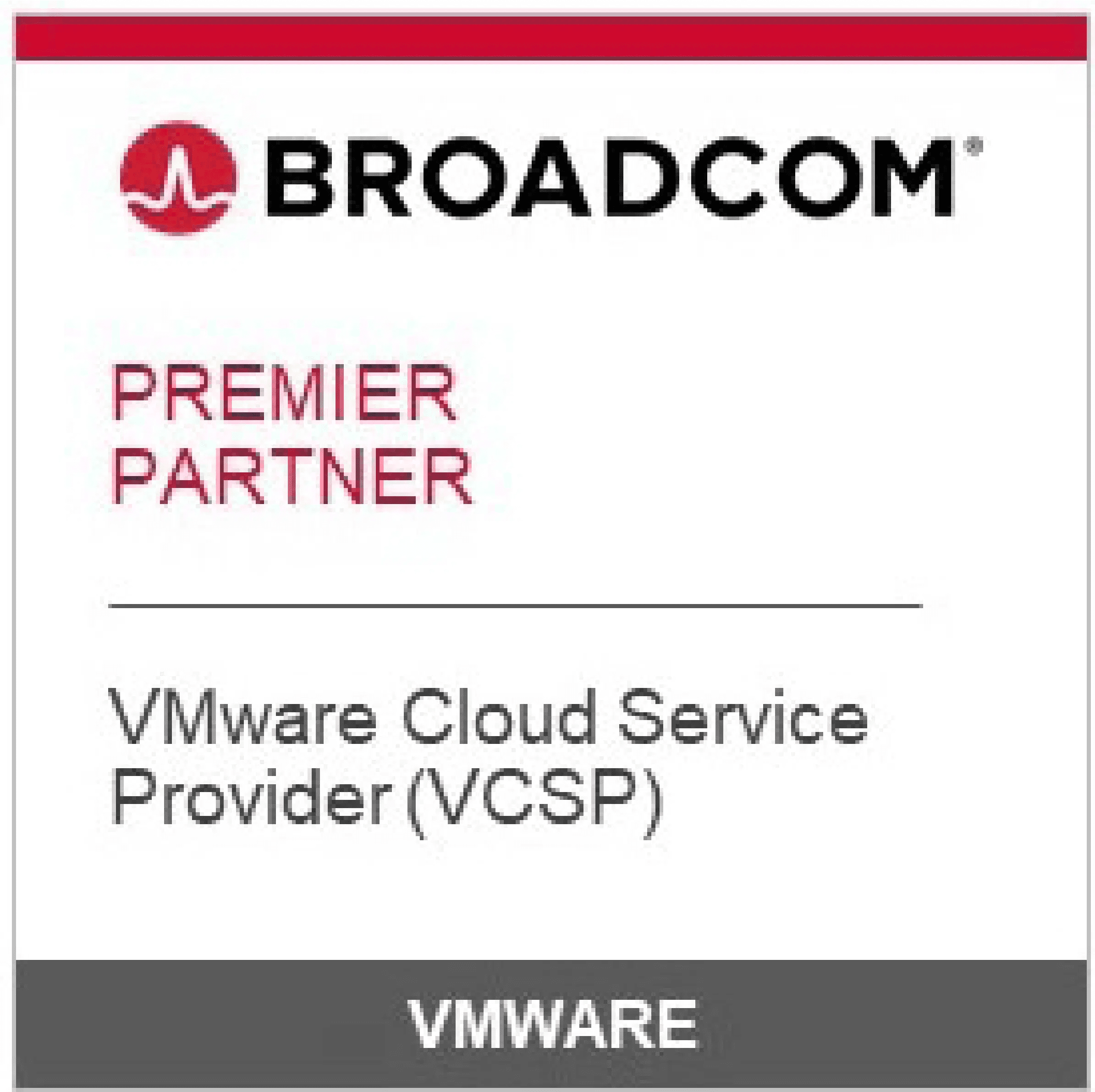 VMware cloud service provider (VCSP)
